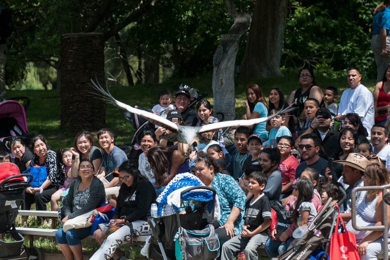 El show de aves fue uno de los favoritos durante el Festival de los Niños 2017