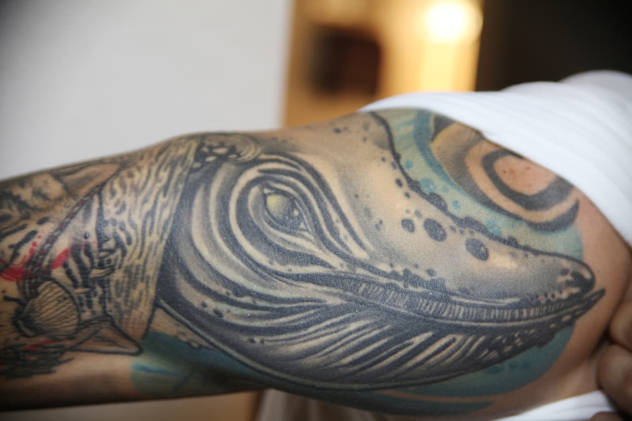 Su primer tatuaje fue el de una ballena en el brazo. Comenzó a tatuarse pensando que lo llenaría de imágenes del mar, primero porque le encantan todos los animales marinos y segundo porque su objetivo es terminar ahí. 
<b>Quiere vivir sus últimos años cerca del mar y morir ahí</b>.
