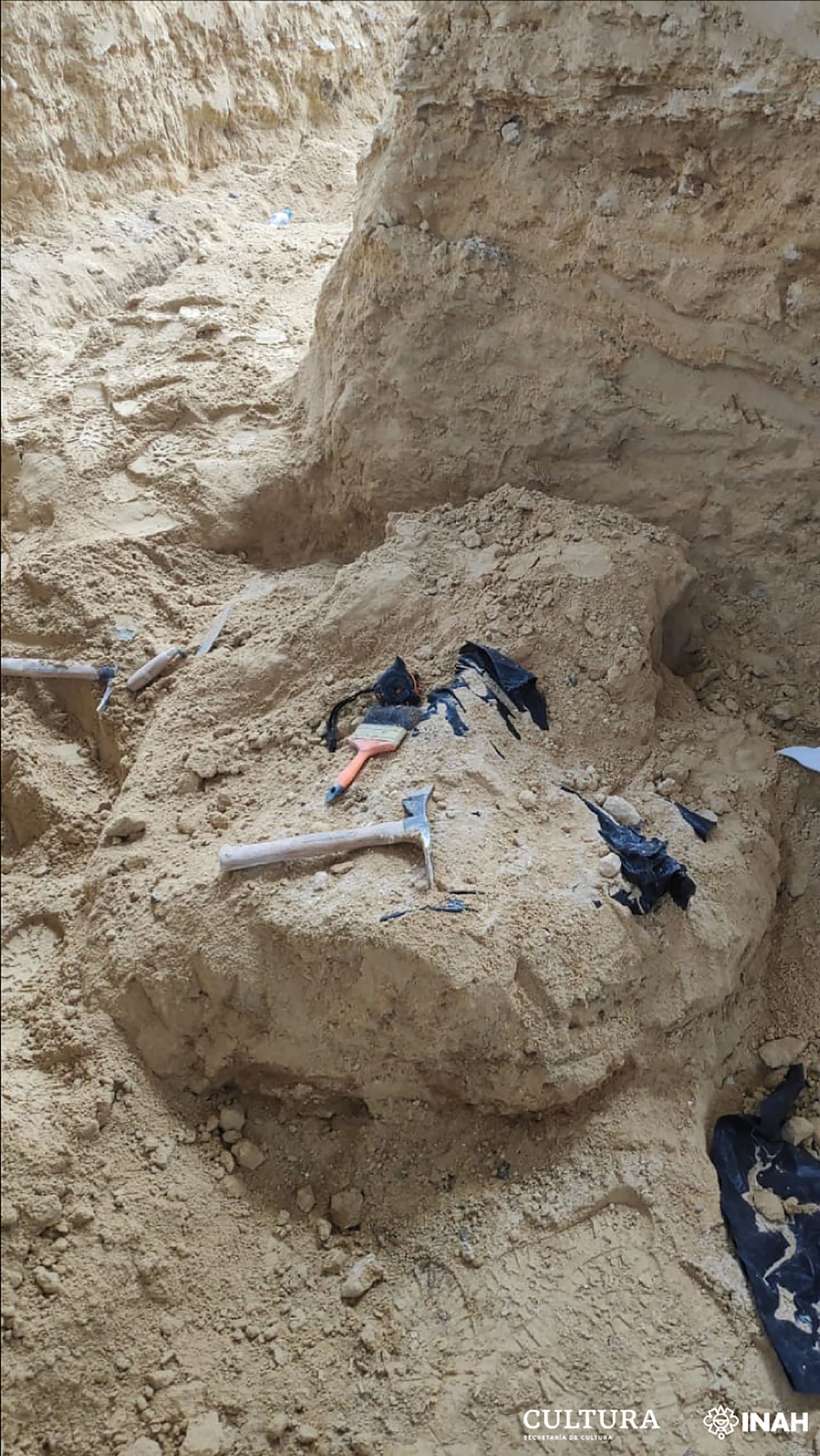 Las piezas óseas del hallazgo en México fueron trasladadas a los laboratorios del Centro INAH Puebla, donde son atendidas para su conservación y estudio.