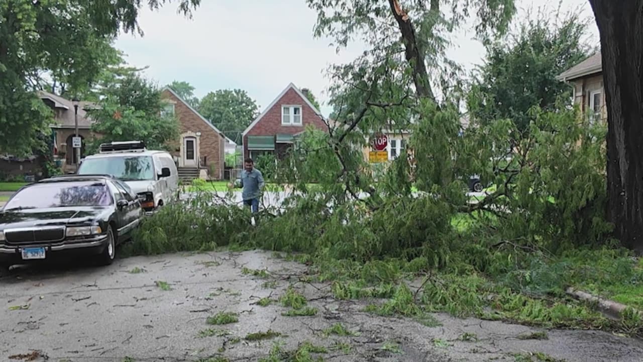 Tormenta en Chicago: calles bloqueadas y labores de limpieza en Stickney