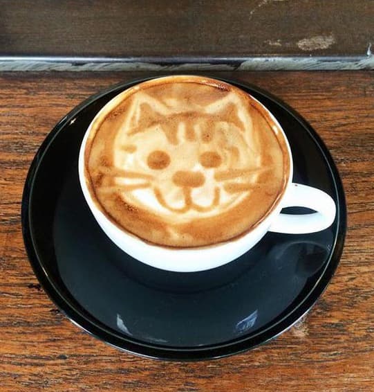 En el marco del día nacional del café celebramos a los talentosos ‘baristas’ que transforman el azúcar, la espuma, la canela y el café en obras de arte.