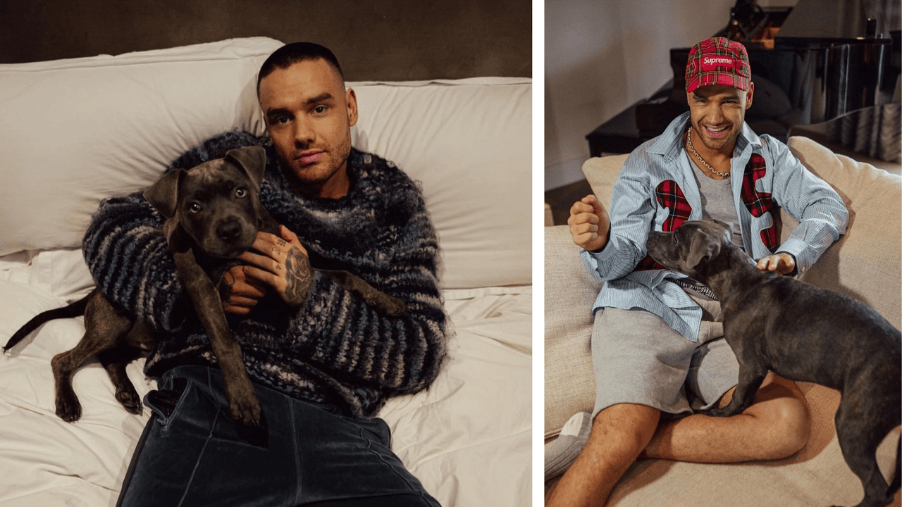 Liam Payne con su perro Stan