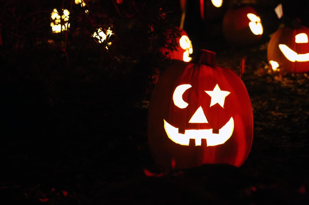<b><a href="https://www.descansogardens.org/programs-events/carved/" target="_blank">Carved at Descanso Gardens</a></b>: 
<br>El festival de jack-o-lantern en el jardín botánico volverá a ser un evento nocturno este año. Los visitantes podrán disfrutar de artísticos paseos iluminados con efectos de sonidos característicos de Halloween. El precio de la entrada $32 por persona.
<br>Dirección: 1418 Descanso Drive, La Cañada Flintridge