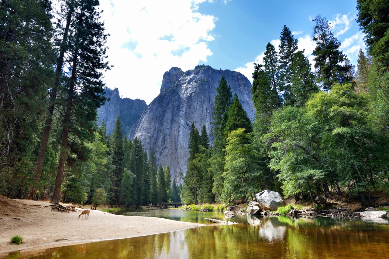 <h3 class="cms-H3-H3">1. Yosemite, California, Estados Unidos</h3>
<br>
<br>Los glaciares situados en el Parque Nacional de Yosemite, en California,son uno de ellos. En la imagen, el 
<i>half-dome</i> (media cúpula), uno de los puntos favoritos para los montañistas que hacen recorridos en este lugar. 
<br>
