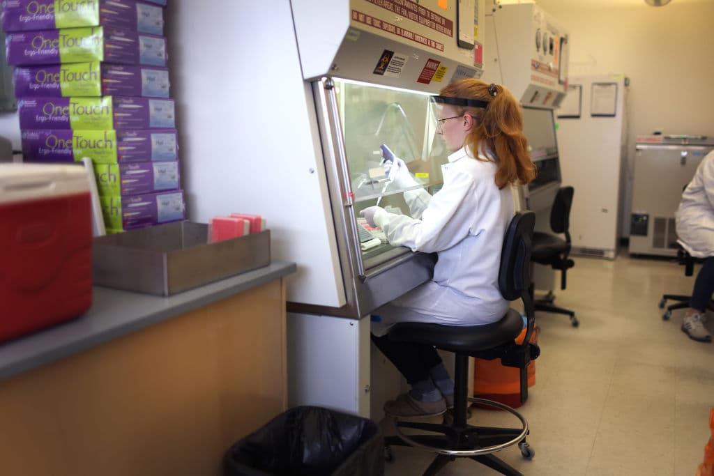 Gripe aviar: Colorado detecta un preso con cepa altamente contagiosa H5N1