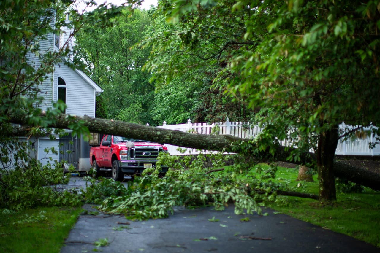 Los niños probablemente experimentarán menos miedo o ansiedad prolongada si saben qué esperar después de un tornado. Hable con los niños sobre sus propias experiencias con alguna tormenta fuerte o léales en voz alta un libro sobre tornados.