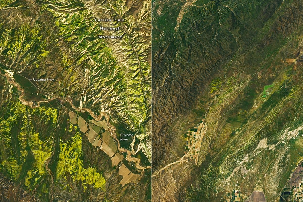 Las imágenes satelitales de la súper floración 2023 en California fueron captadas por el Landsat 9