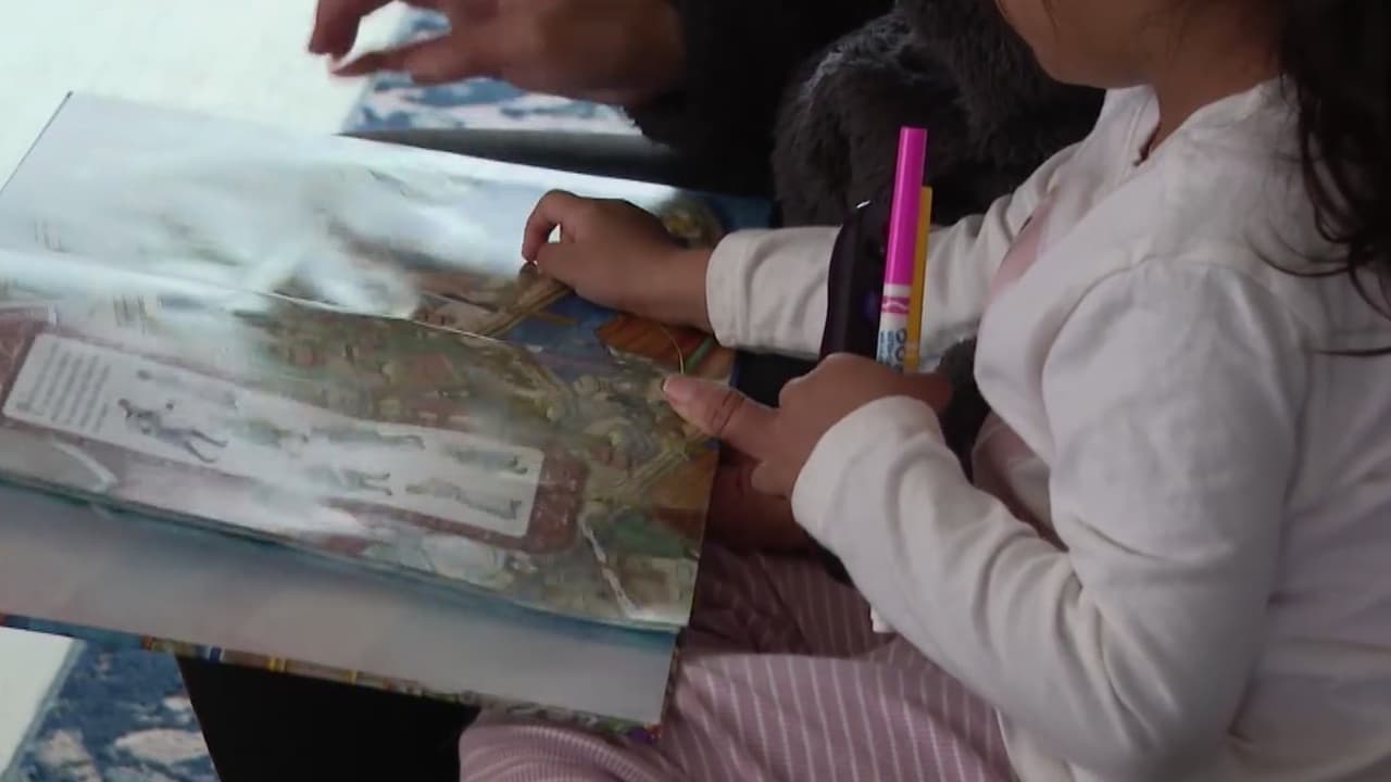 Más de 11 mil niños ciudadanos afectados por detenciones de padres en administración Trump