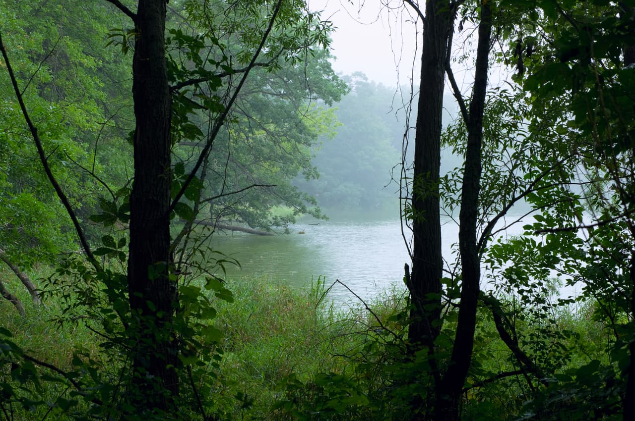 <h3 class="cms-H3-H3">17. Apple Valley, Minnesota</h3>
<br>
<br>👉
<b>Población de origen extranjero (2020): </b>13.2% (+4.3% desde 2016)
<br>
<br>👉
<b>Mayor grupo de inmigrantes: </b>etíopes.
<br>
<br>👉
<b> Otros grupos de inmigrantes: </b>mexicanos, vietnamitas, filipinos.
<br>
<br>👉
<b>Población total: </b>53,728 habitantes.
<br>