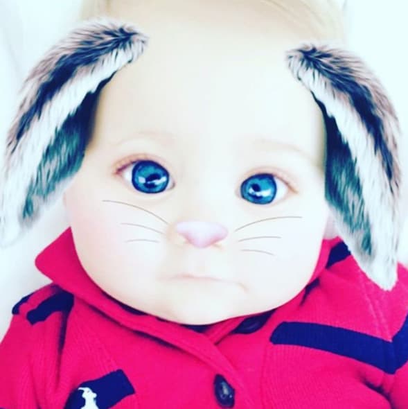 Es por eso que no sorprende que busque a un nuevo integrante en la familia pues se muestra feliz con su nueva vida.