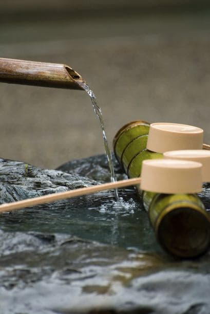 De seguro te alegrará poder ver tu espacio verde desde dentro de tu hogar durante los meses fríos. ¡Diséñalo para que esto sea posible!