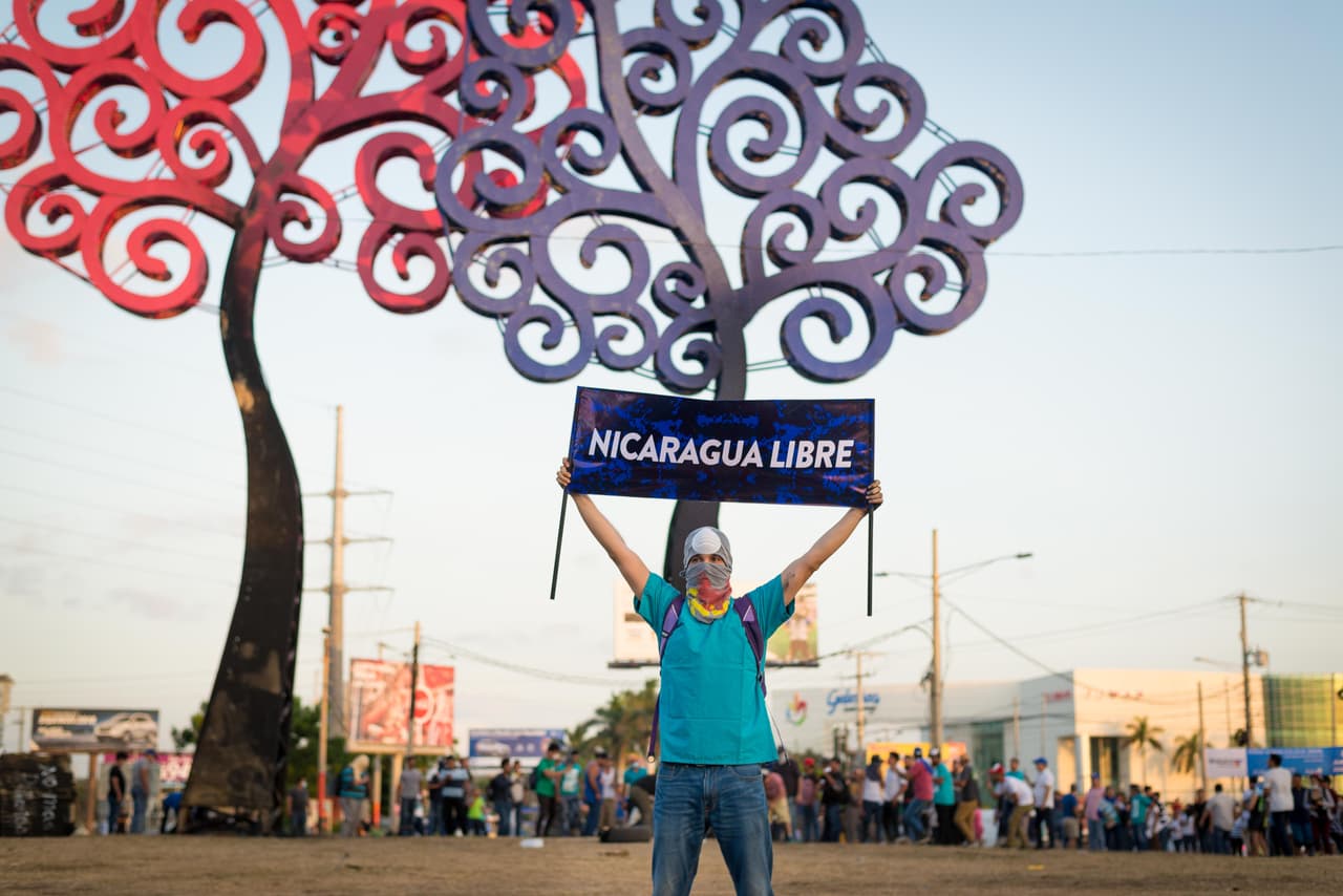 Among the target of protesters were the 'Trees of Life', huge metal structures with colored lights that Vice President and First Lady Rosario Murillo has decorated the streets of Managua with in recent years.
