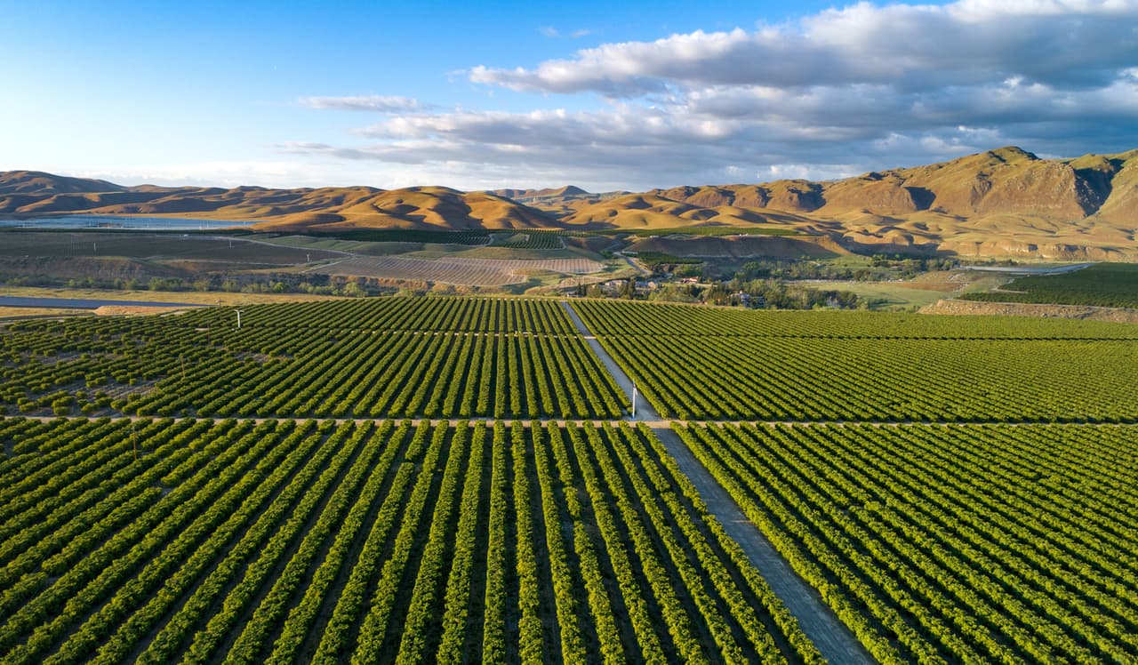 <b>Puesto 24 de las ciudades donde el salario rinde más | Bakersfield, California</b>
<br>
<br>🔘 El ingreso promedio anual de un hogar en esa ciudad es de $65,687.
<br>🔘 Los cheques que recibe un hogar quincenalmente ascienden a $2,526.
<br>🔘 El monto de cubrir las necesidades básicas es de $1,253.
<br>🔘 Por ello, sobran $1,273 de cada cheque.