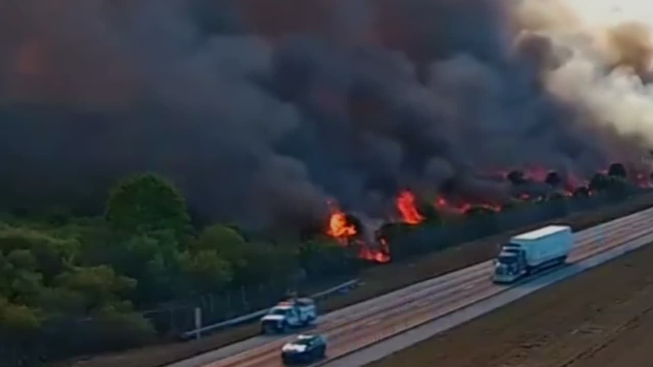 Zonas del sur de Florida son afectadas por incendio forestal en condado Collier