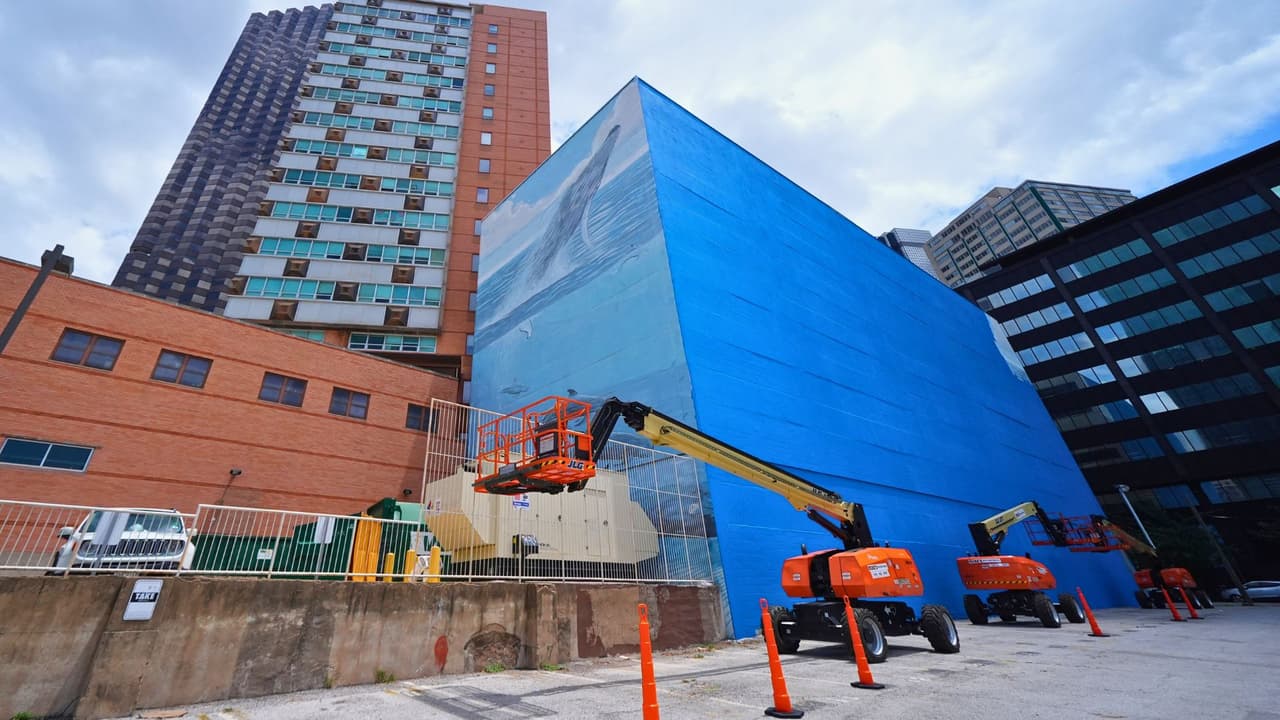 <h3 class="cms-H3-H3">Wyland reclama que no autorizó el cambio del mural</h3> La polémica aumentó después de que 
<b>Wyland afirmara que no fue consultado antes de que su mural fuera cubierto.</b> 
<br>Sus abogados enviaron 
<b>una carta dirigida a FIFA, al comité organizador local y a la ciudad de Dallas.</b>
<br>El reclamo cita la Visual Artists Rights Act, conocida como VARA, 
<b>una ley federal que protege ciertos derechos de artistas sobre sus obras visuales.</b>
<br>La ciudad de Dallas emitió un permiso relacionado con el cierre de la acera, pero 
<b>remitió las preguntas sobre el mural al comité organizador local.</b> 
<br>La empresa Slate Asset Management, dueña del edificio, dijo que 
<b>se le pidió donar la pared</b> y que le indicaron que Wyland había sido contactado.
