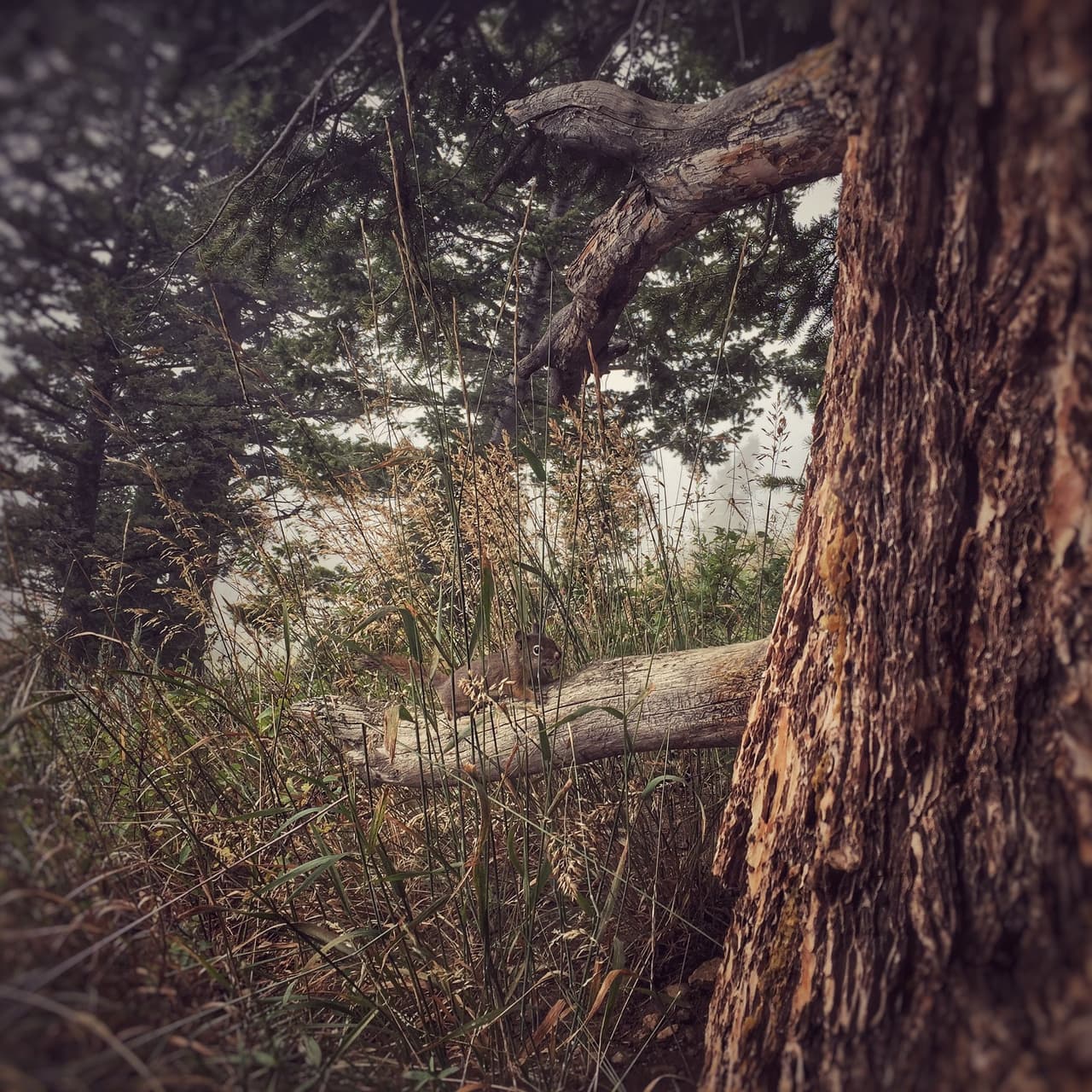 ¡Vaya paisajes que han encontrado!