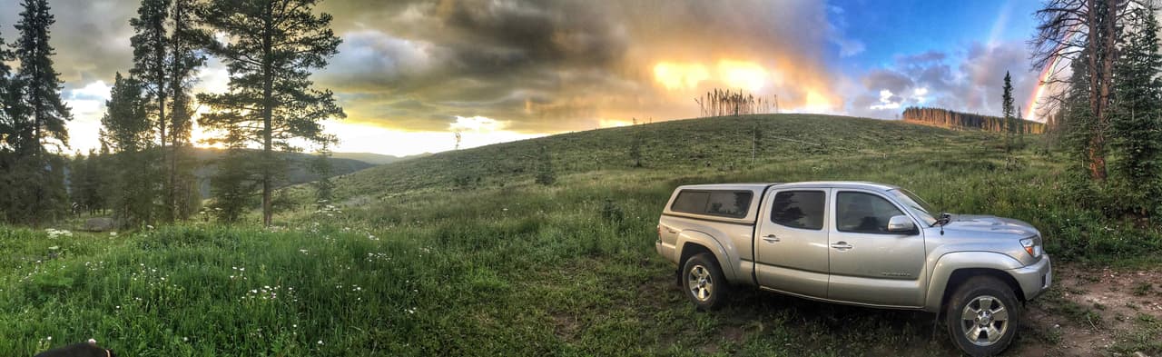 ¿Por qué no continuar con su trabajo, pero viajando al lado de su peludito amigo?