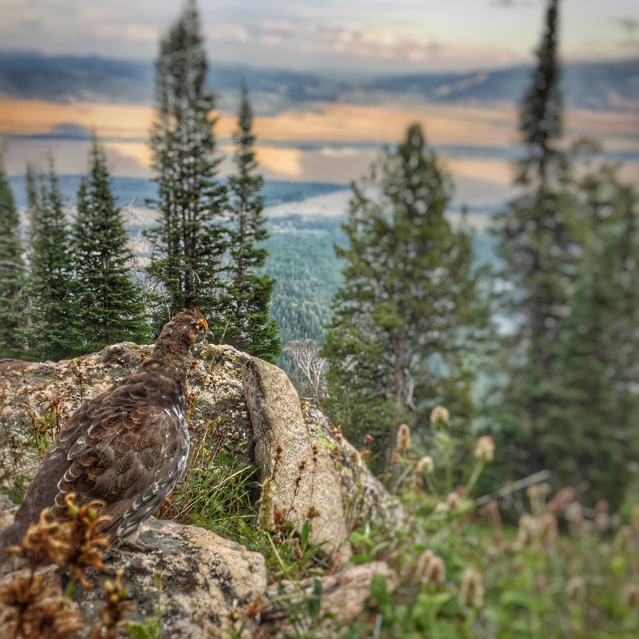 Bobby ha visto escenarios espectaculares y se ha encontrado con miles de olores nuevos.