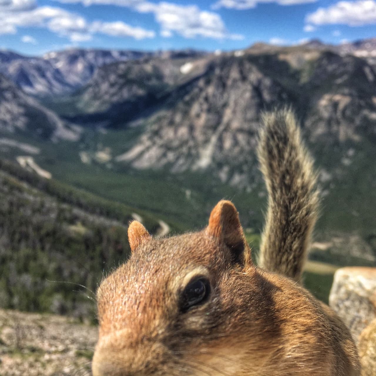 Por eso cambió su escritorio por el volante.