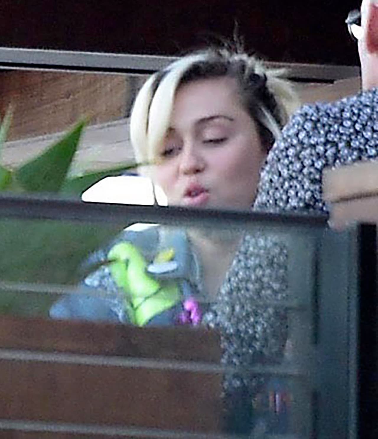 Disfrutando de su romántica 'date'.