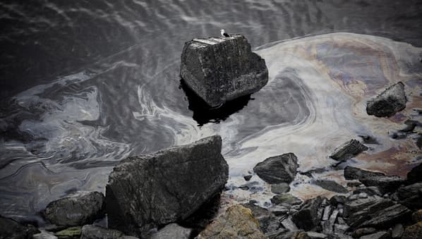 El curioso material capaz de remover derrames de petróleo