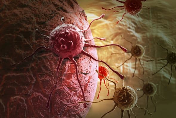 La lactancia materna debe continuar incluso cuando tú estás enferma. La mayoría de las enfermedades comunes no pasan a la leche materna, y los anticuerpos en la leche materna en realidad protegen a tu bebé de enfermedades.