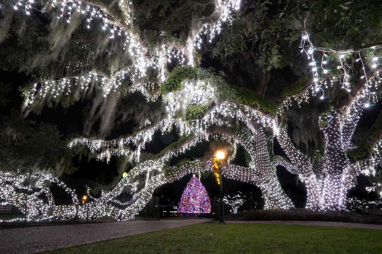 <b><a href="https://www.jekyllisland.com/signatureevents/holly-jolly-jekyll/" target="_blank">Holly Jolly Jekyll (del 26 de noviembre al 23 de diciembre)</a></b>: Jekyll Island alberga más de medio millón de luces durante la temporada de Holly Jolly Jekyll. Solo el Gran Árbol tiene más de 35,000, que es más por pie cuadrado que el árbol de Navidad del Rockefeller Center de Nueva York.