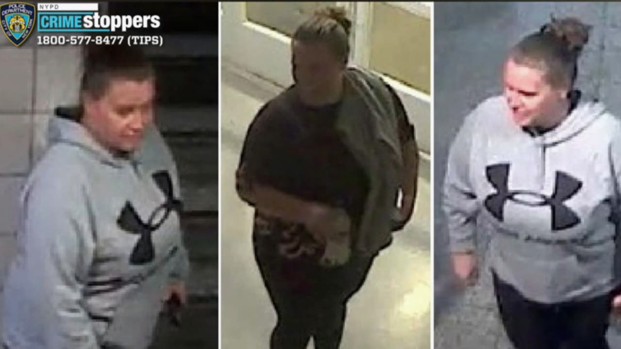 Buscan a tres sospechosos de vandalizar el campus del College of Staten Island y causar graves daños