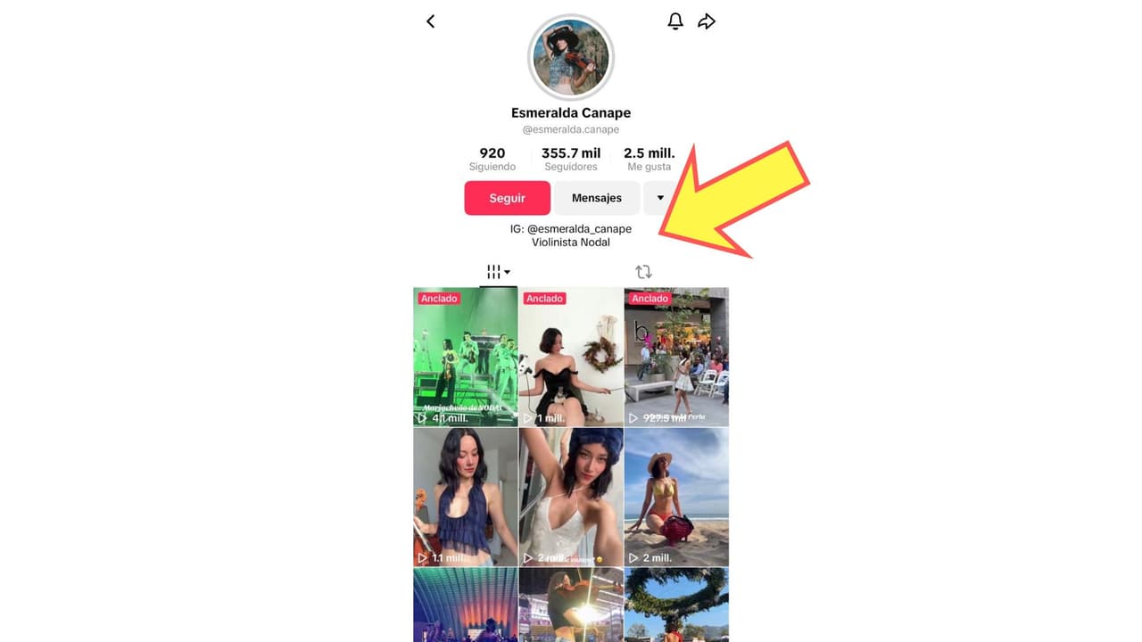Esmeralda Camacho se presenta en redes como "violinista Nodal".