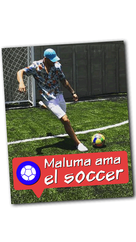 Para usuarios de Google Play descarga
<b><a href="https://play.google.com/store/apps/details?id=com.screenz.conecta&hl=es" target="_blank">aquí</a></b>.
<br>Para usuarios de iOS descarga
<a href="https://itunes.apple.com/us/app/univision-conecta/id1031087873?mt=8" target="_blank"><b>aquí</b></a>.