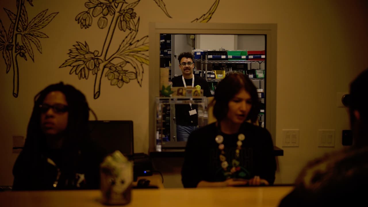 La industria de la marihuana en Illinois ha dejado más de $20 millones de dólares en ventas en el estado.