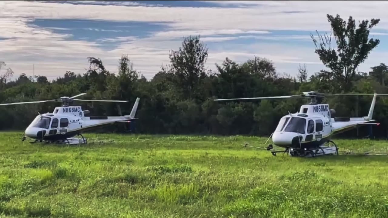 Intensifican fumigación contra mosquitos en Hillsborough; se busca frenar el brote de dengue en Tampa