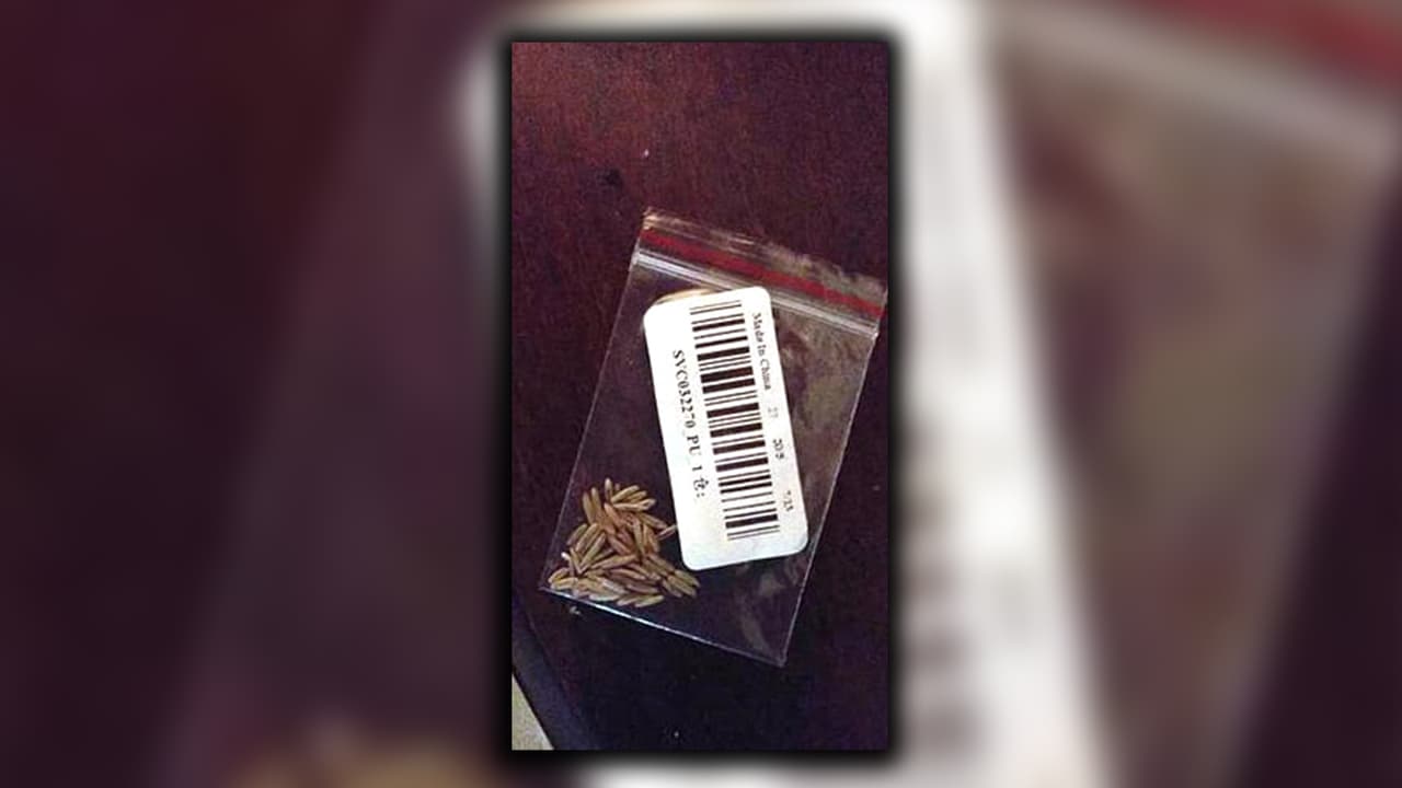 Las especies invasoras causan estragos en el medio ambiente, desplazan o destruyen plantas e insectos nativos y dañan severamente los cultivos.