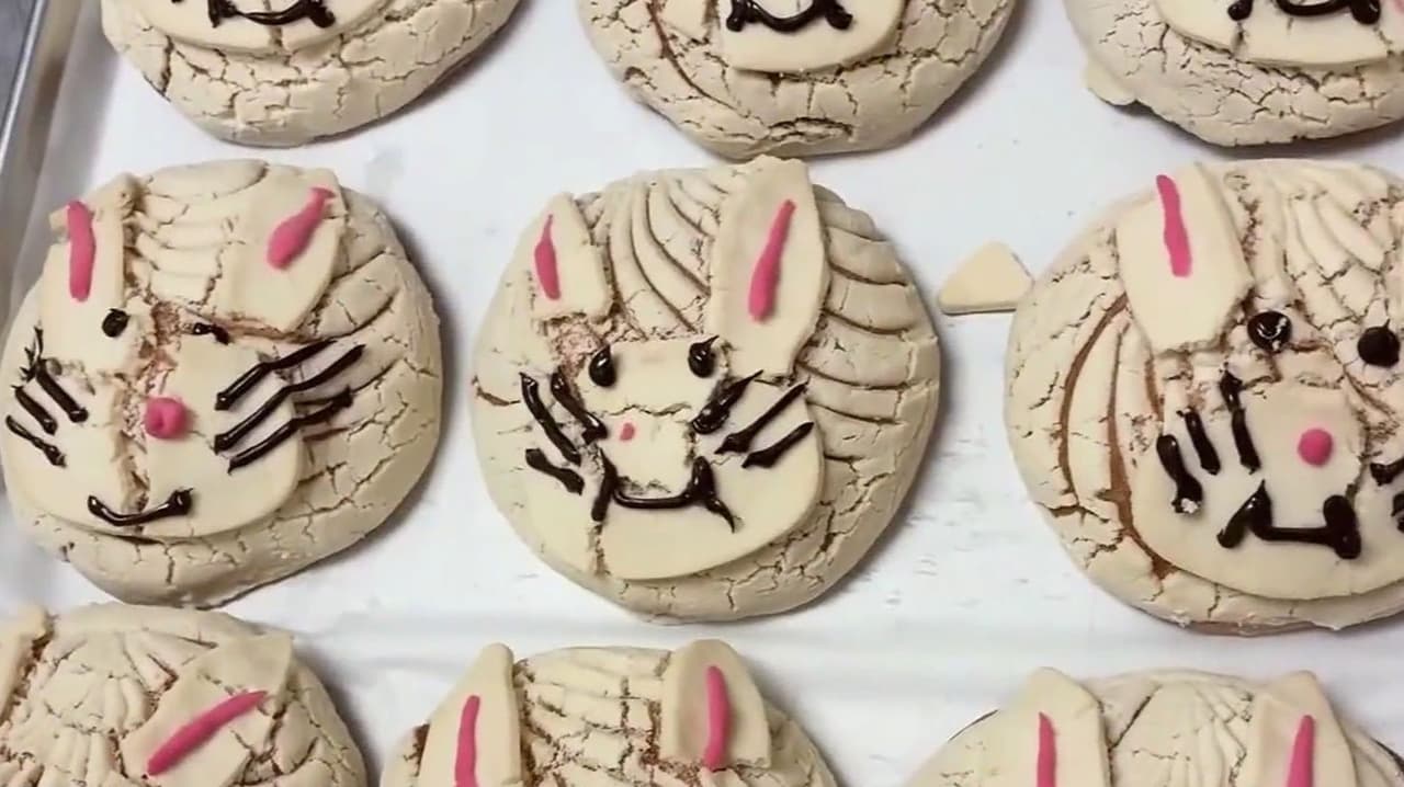 De comidas a postres: Ideas de platillos para disfrutar en Semana Santa 2026