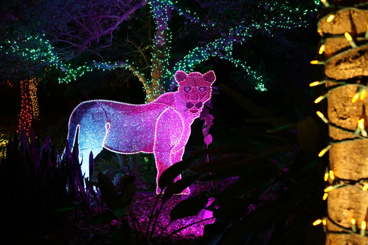 Las creativas representaciones de animales se pueden observar a lo largo de todo el recorrido.