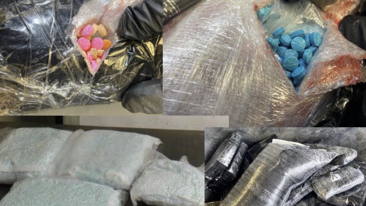 Incautación de contrabando de fentanilo en la garita de Nogales.