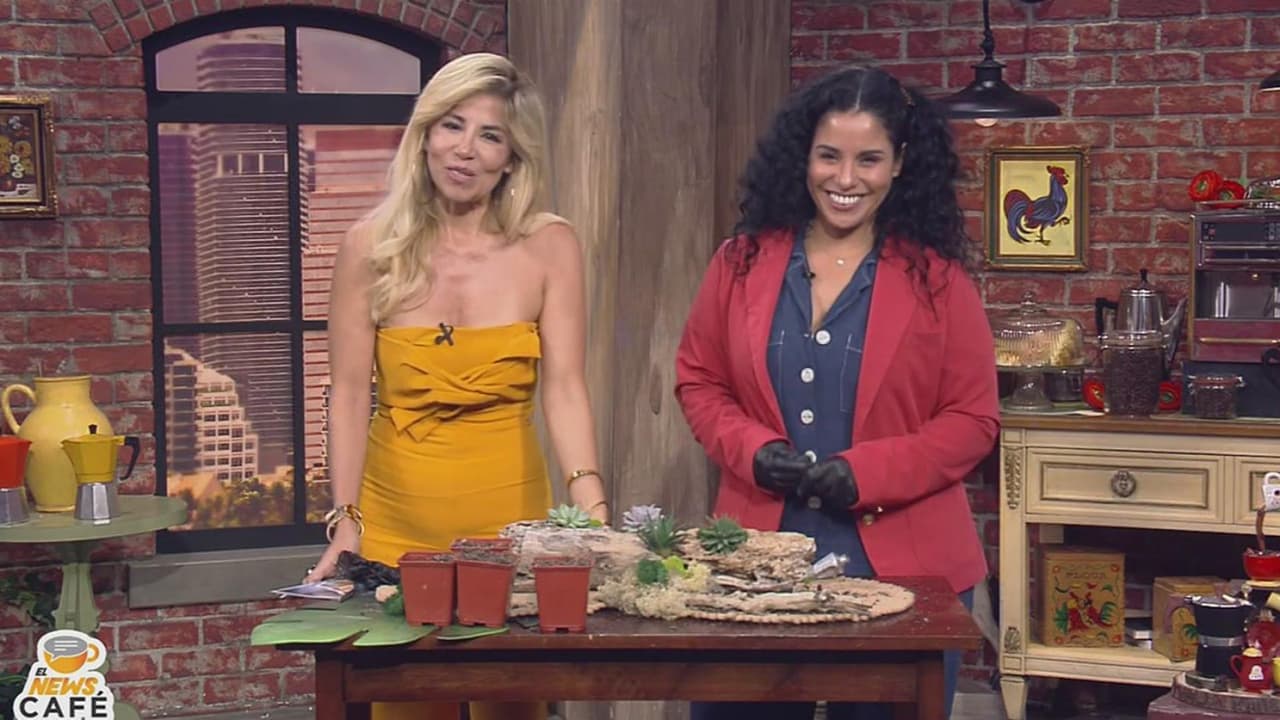 Cómo crear un centro de mesa con palos secos y suculentas