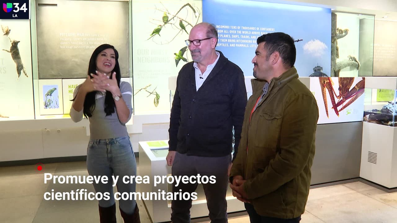 Miguel Ordeñada, el hispano reconocido a nivel mundial tras descubrir al gato salvaje que vivió por años en las calles de LOs Ángeles