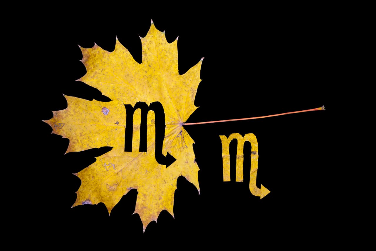 Esto viene como un regalo para este signo justo cuando empiezan su ciclo de vida este fin de semana, ya que comienza a regir el signo.