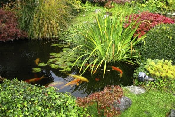 Los estanques y arroyos, reales o a escala, son parte de muchos jardines zen.