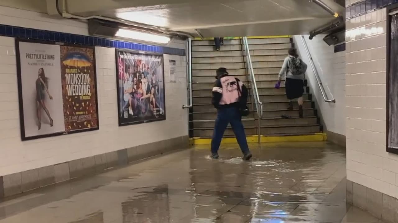 El metro de la Ciudad de Nueva York fue impactado y 
<b>varias estaciones debieron ser cerradas por motivos de seguridad durante las inundaciones</b>. También hubo retrasos y cancelaciones en los aeropuertos.