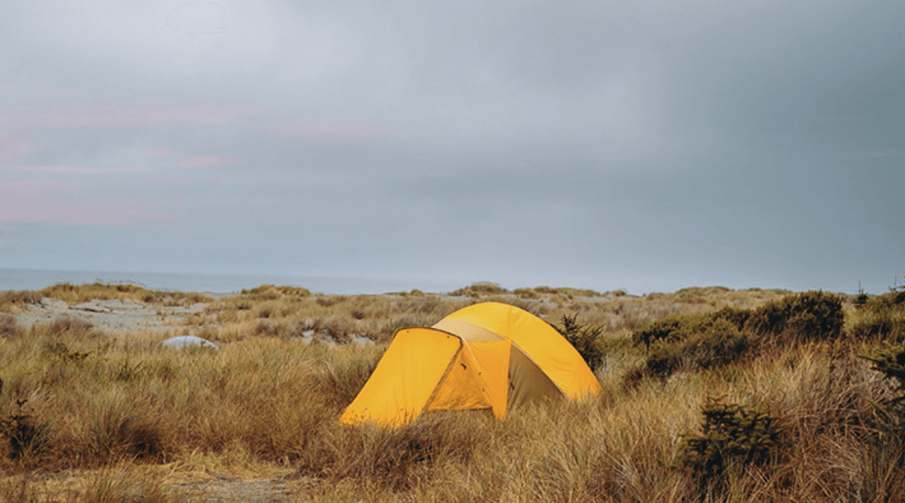 Además, las bibliotecas incluirán programas que enseñan sobre conservación de recursos naturales y habilidades al aire libre y hacer conexiones históricas y culturales con los parques.