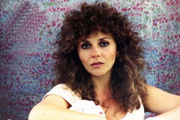 Uno de los rostros más bellos de las telenovelas,
<b><a href="http://www.univision.com/temas/veronica-castro">Verónica Castro</a></b>, era referente de la moda, pues además de ser actriz, también era conductora de televisión, por lo que presumía ostentosos vestidos.