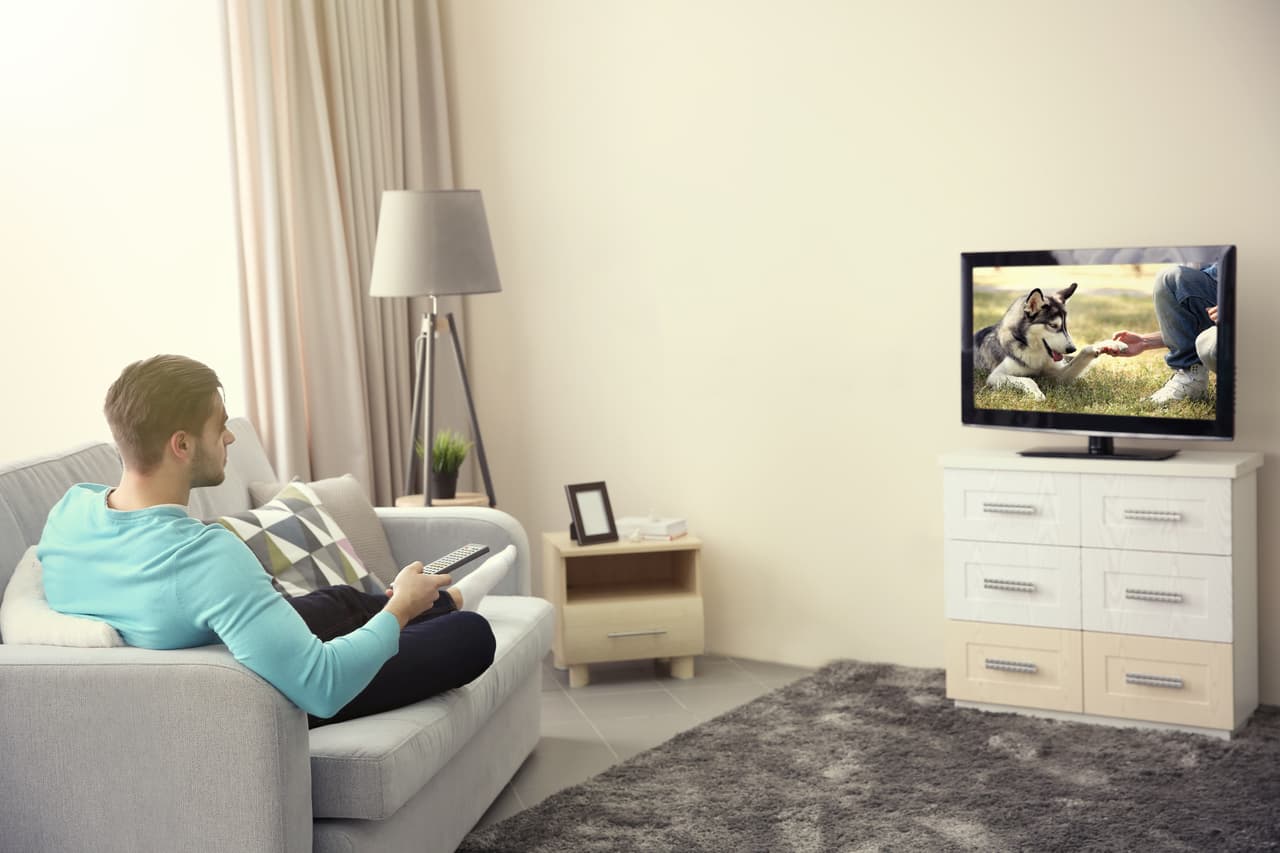 Si tiene pecera unos elementos que pueda usar en su acuario, alguna fuente de agua, pequeña de tipo zen o feng sui para tener en el hogar o el trabajo, cintas de música o videos y películas nostálgicas de los tiempos de su primera juventud. Una suscripción a algún servicio de películas por Internet que pueda disfrutar en casita con los suyos.