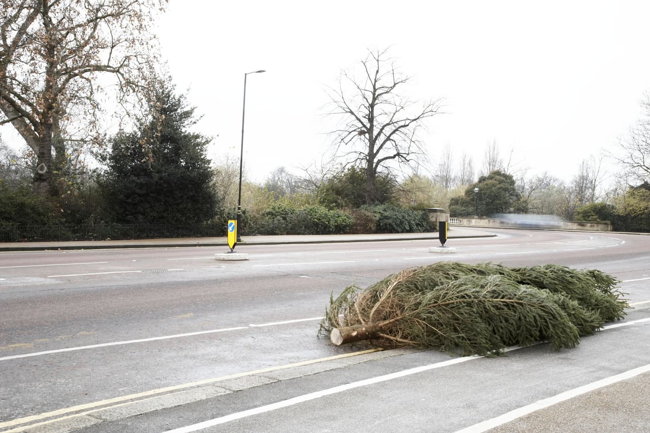<b>Sigue estas recomendaciones y cuida tu cartera.</b> Es importante saber que, si se te llegara a caer un árbol desde el carro, incluso si no lesiona a nadie, esto tendría consecuencias en tu bolsillo. En todos los estados, los conductores pueden ser multados con hasta $5,000 si un artículo sea cae de su vehículo.