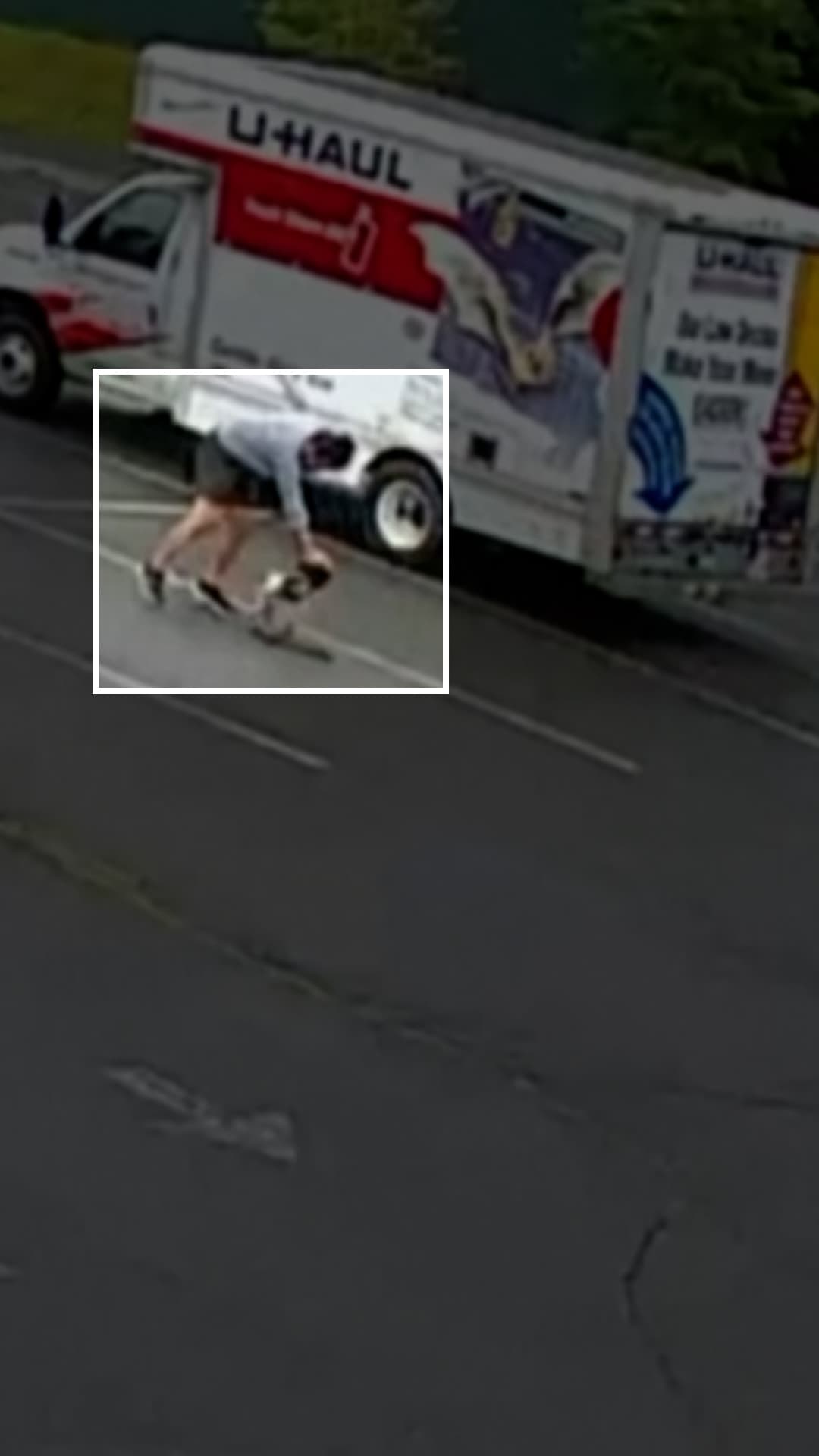 Un animal salvaje atacó a un hombre en un estacionamiento