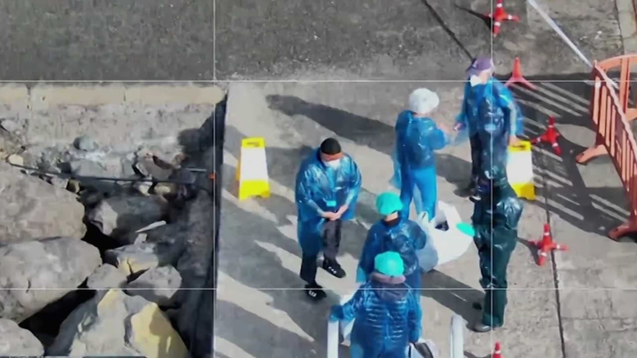 Desembarcan crucero con hantavirus en Tenerife, España y activan protocolos