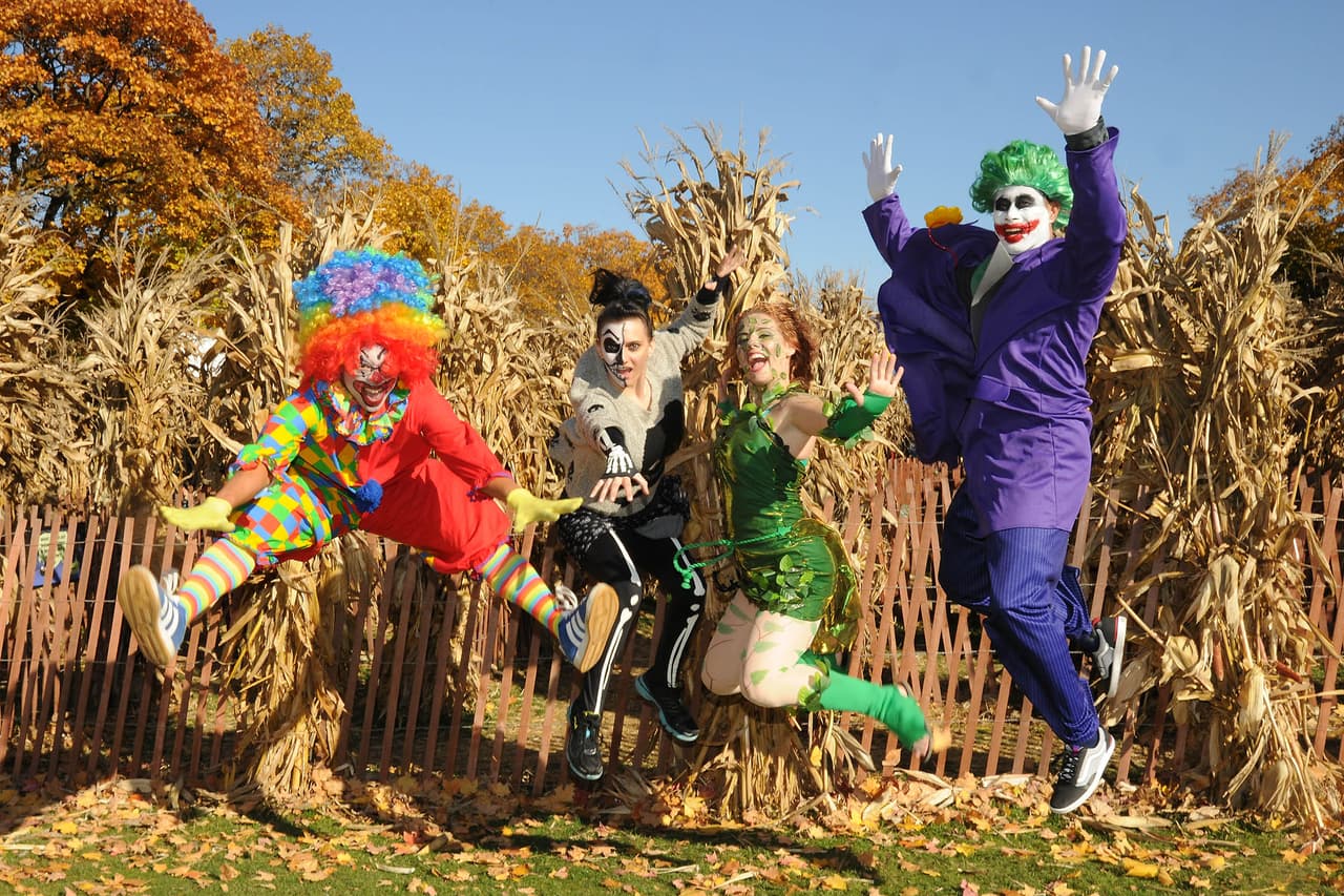 Este fin de semana arranca la celebración de Halloween del zoológico de Brookfield.