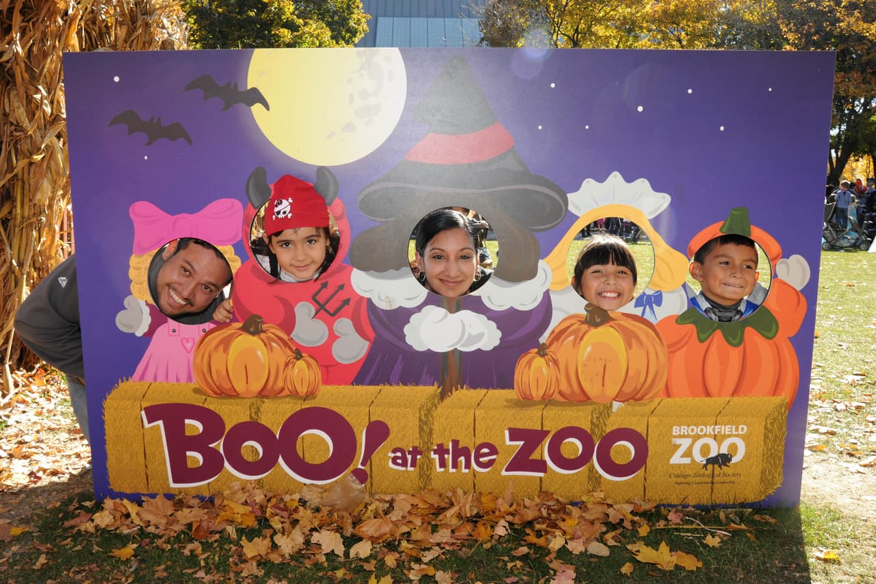 Para completar la experiencia, si van a la cafetería podrán comer una sopa de calabaza o cupcakes decorados de Halloween. El Brookfield zoo está localizado en el 8400 W 31st St en Brookfield. Precios de entrada de $11 a $16 dólares.