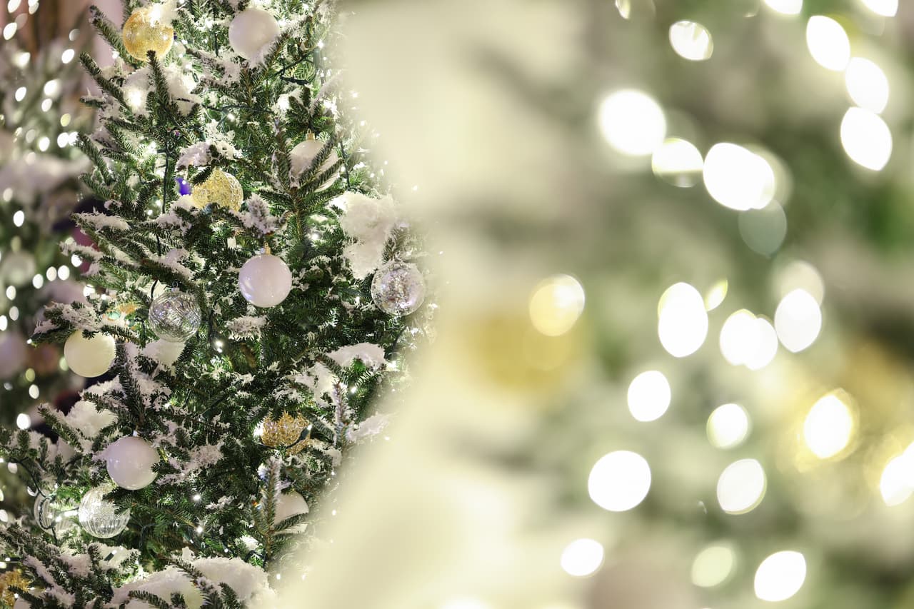 Esta exhibición, añadió, busca “capturar el deleite y la imaginación puros y sin filtros de la infancia”.
<br>